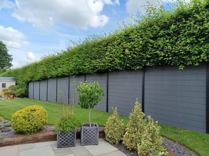 composite fencing in the garden